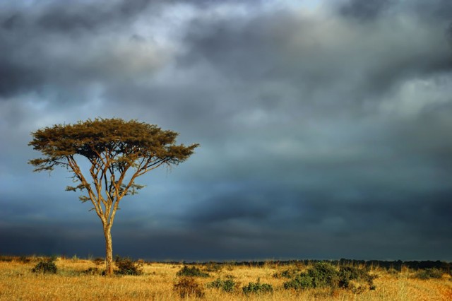 Beauty-of-Kenya-Land-5-640x426